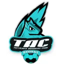 logo Territoire Auxances et Clain Handball