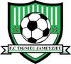 logo FC de Tignieu Jameyzieu