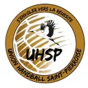 logo Union Handball Saint Pierroise