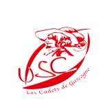 logo US Casteljaloux