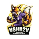 logo US Handball Vernouillet-verneuil