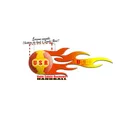 logo Unite Sainte Rose Handball