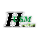 logo US Montauban Handball