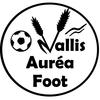 logo Vallis Aurea Foot 2