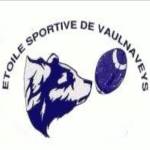 logo Etoile Sportive Vaulnaveys