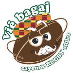 logo Vie Bagaj