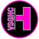 logo Verneuil Saint Gence Handball Club
