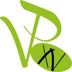 logo Villeneuve Pareage XV